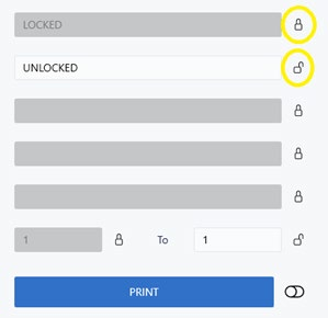 Lock Icon on Form